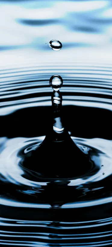 listing-3-396x396 Course listing